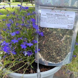 Mojito Sun Apoptogenic Tea